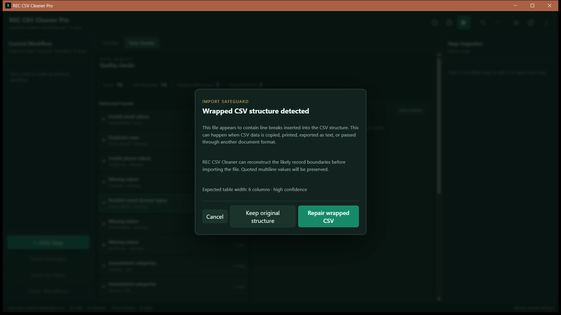 REC CSV Cleaner Pro import repair interface for reviewing problematic CSV rows