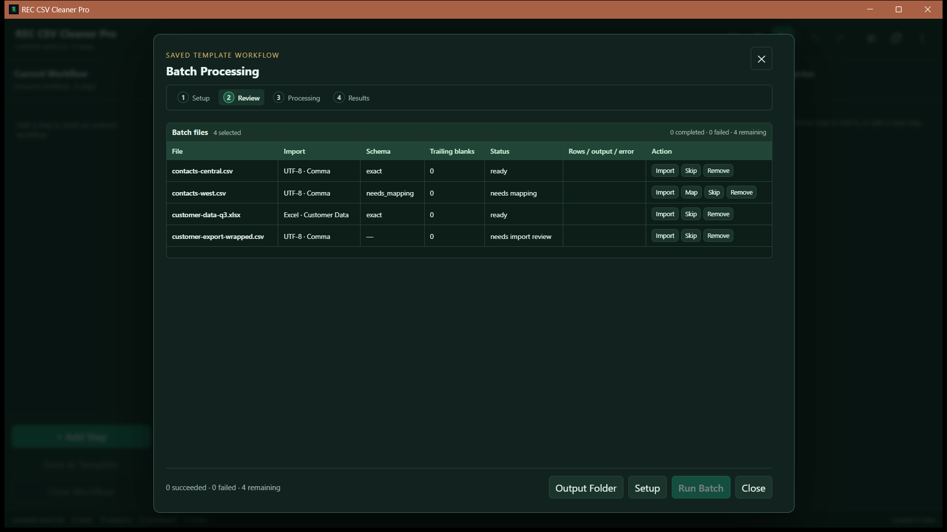 REC CSV Cleaner Pro batch review showing queued files and compatibility checks