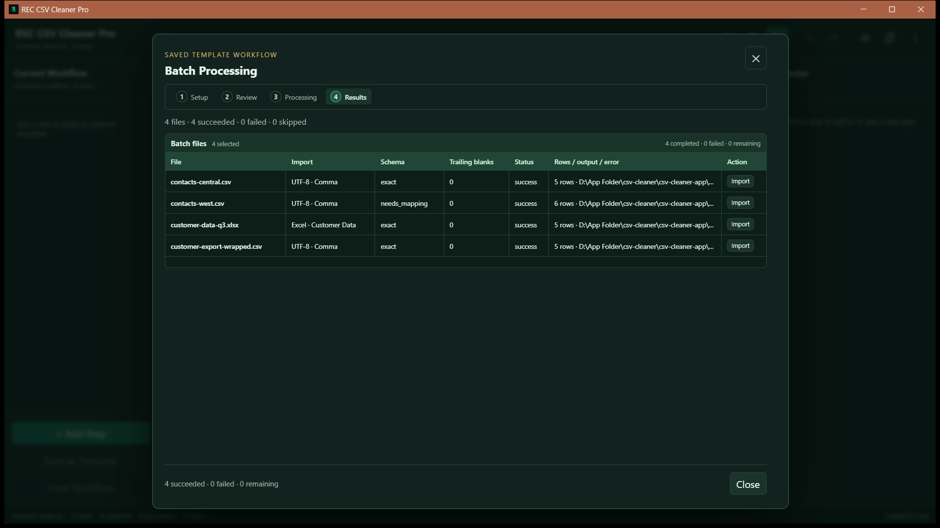 REC CSV Cleaner Pro batch results showing per-file processing status